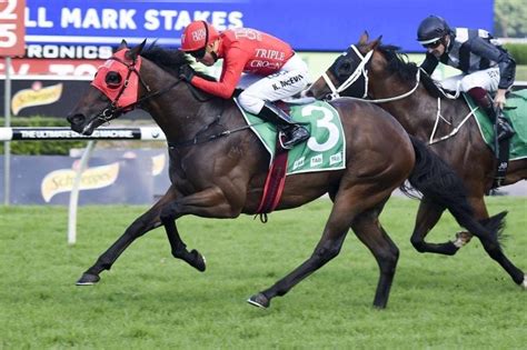 redzel stakes betting